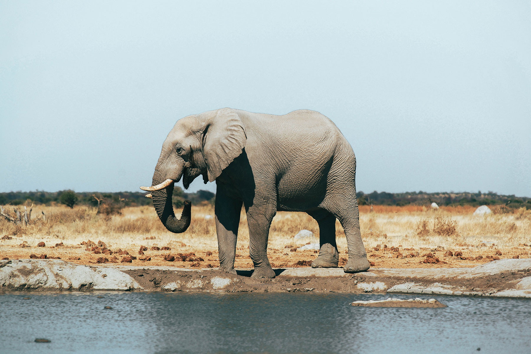 Chobe National Park