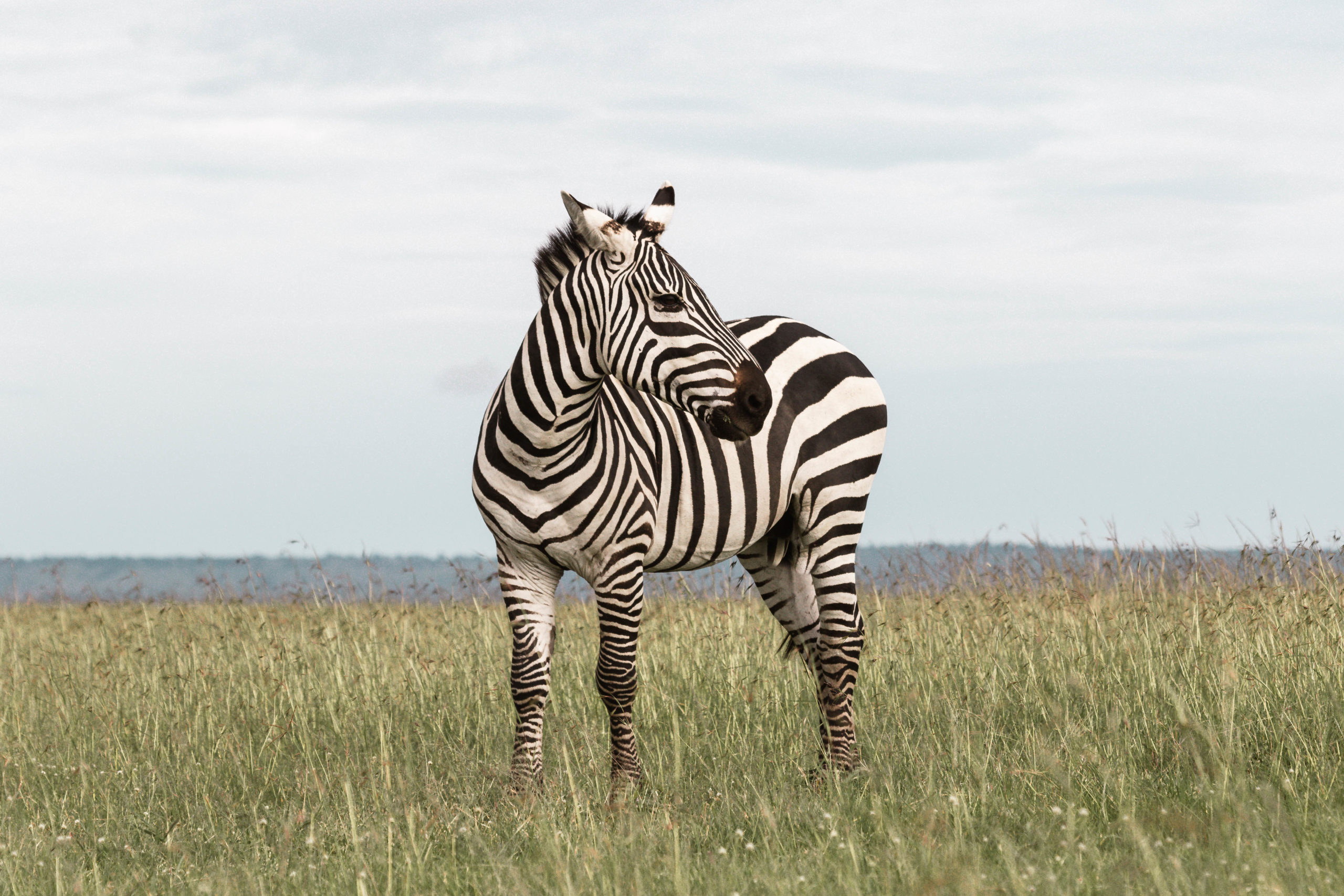 Maasai Mara