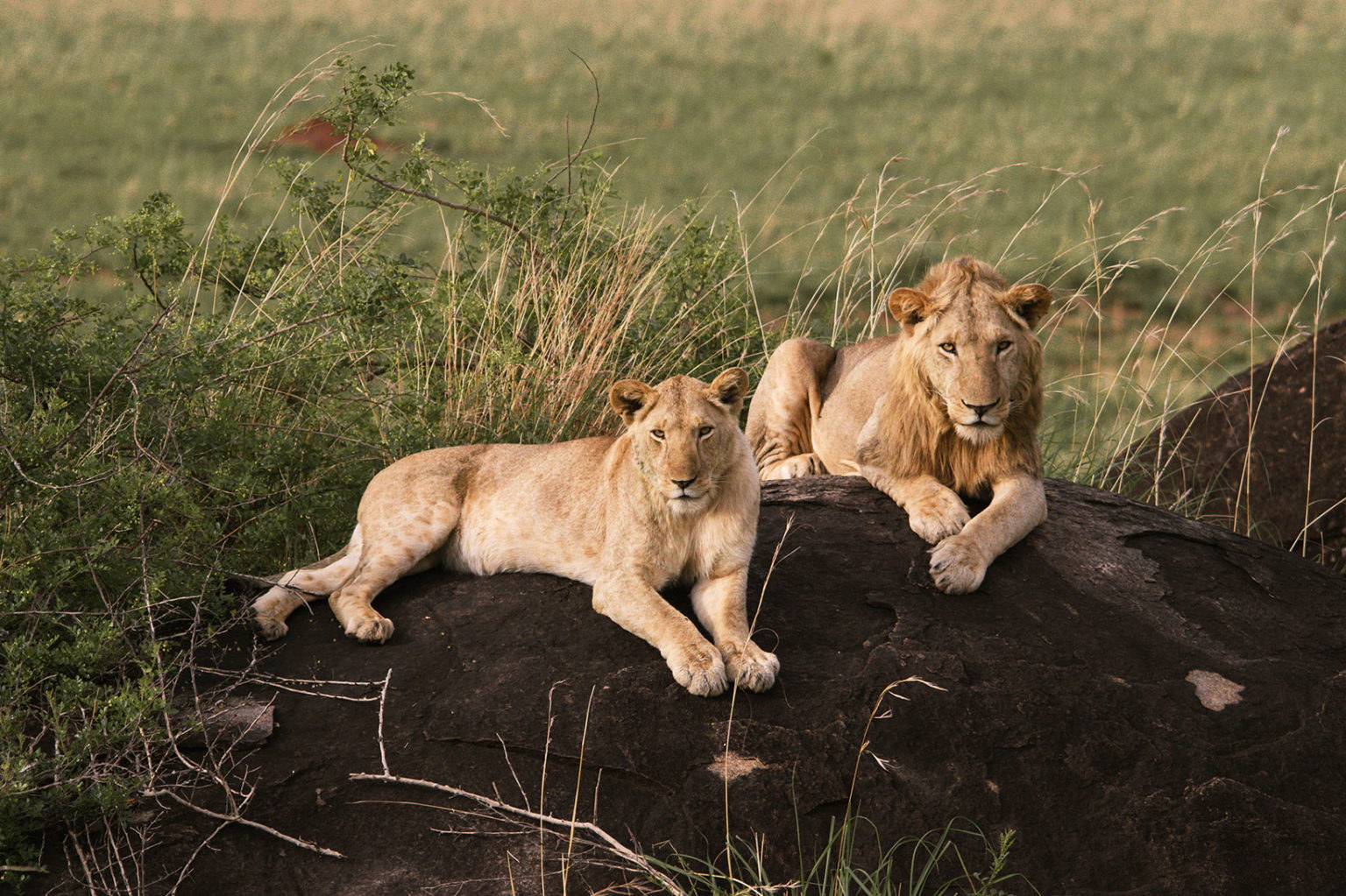 Kidepo Valley National Park