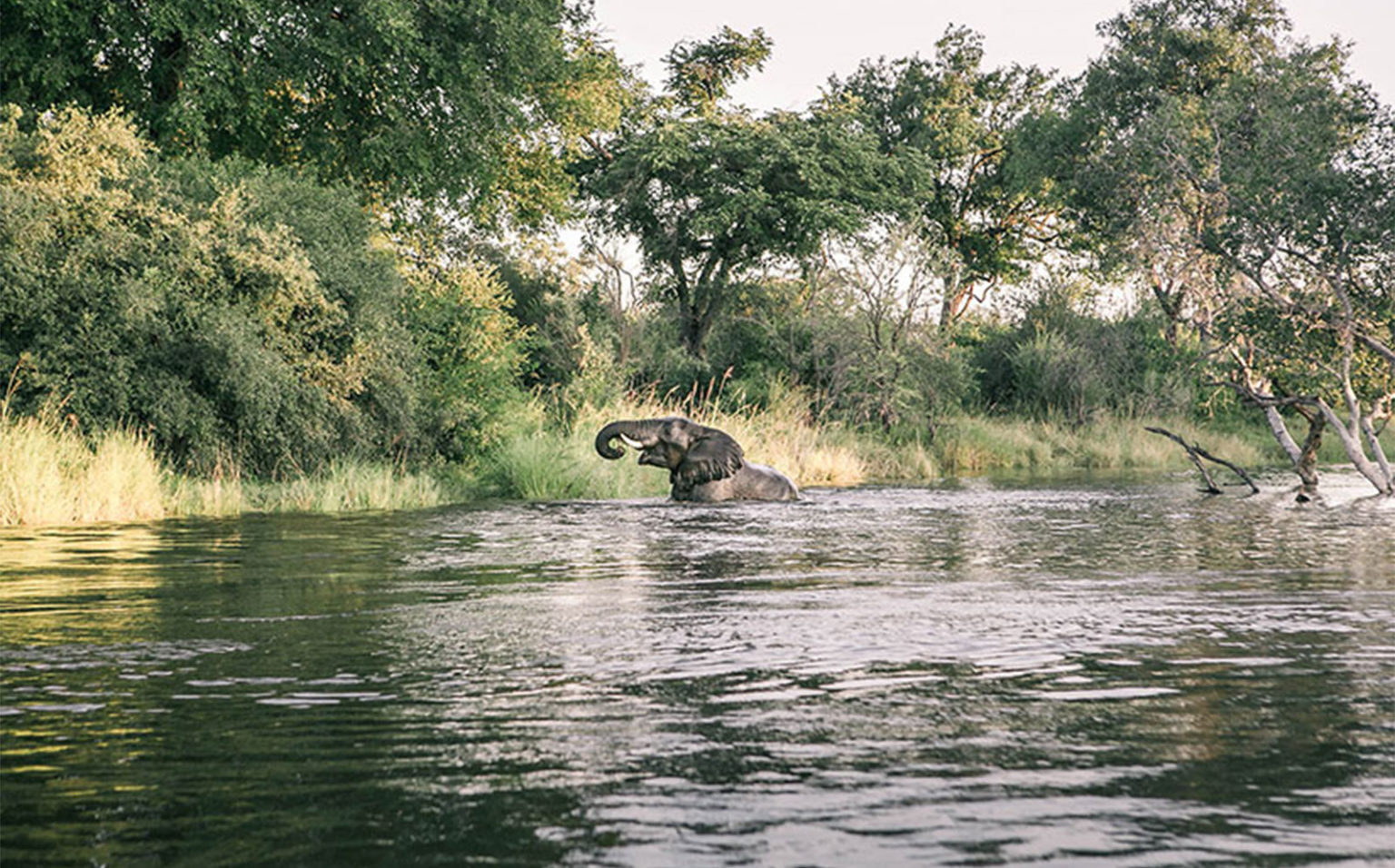 Lower Zambezi National Park