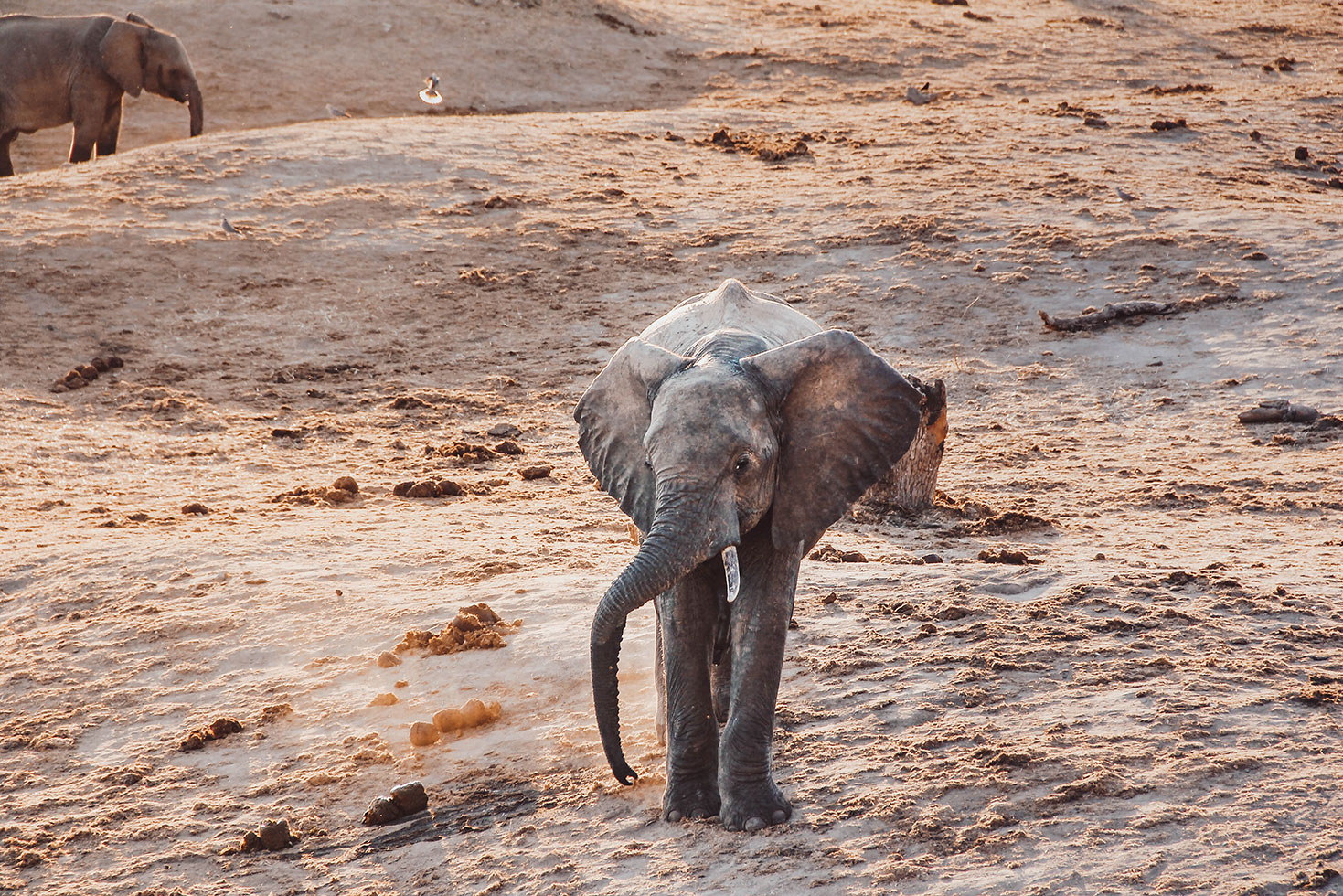 Hwange National Park