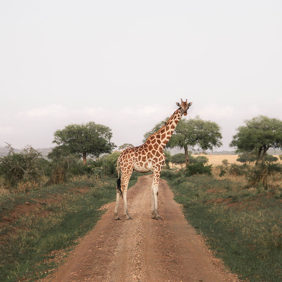 Uganda